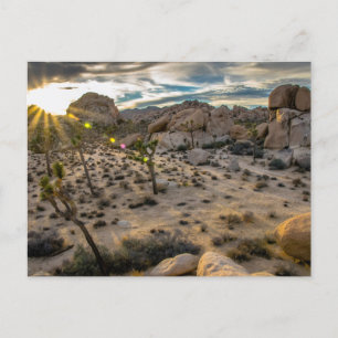 Carte Postale Dusk at Joshua Tree NP Postcard