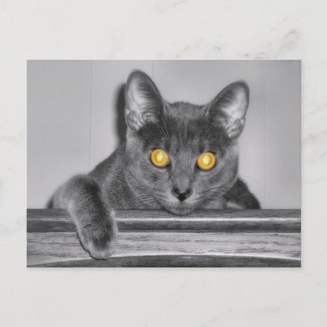 Carte postale Dusky Gold (Devant)