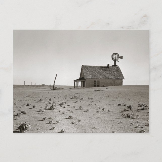 Carte Postale Dust Bowl Farm, 1938 (Devant)