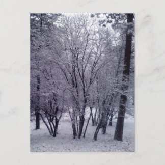 Carte Postale Dusting