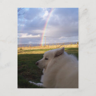 Carte Postale Dusty Charms tout le monde