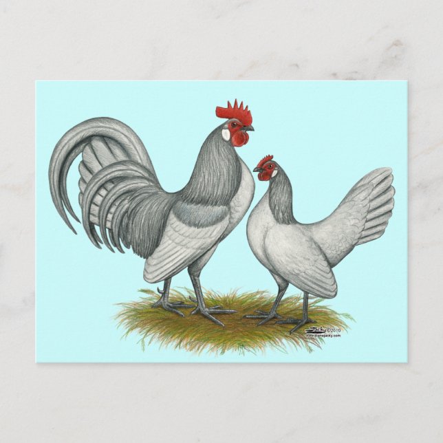 Carte Postale Dutch Bantam :  Auto bleu (Devant)