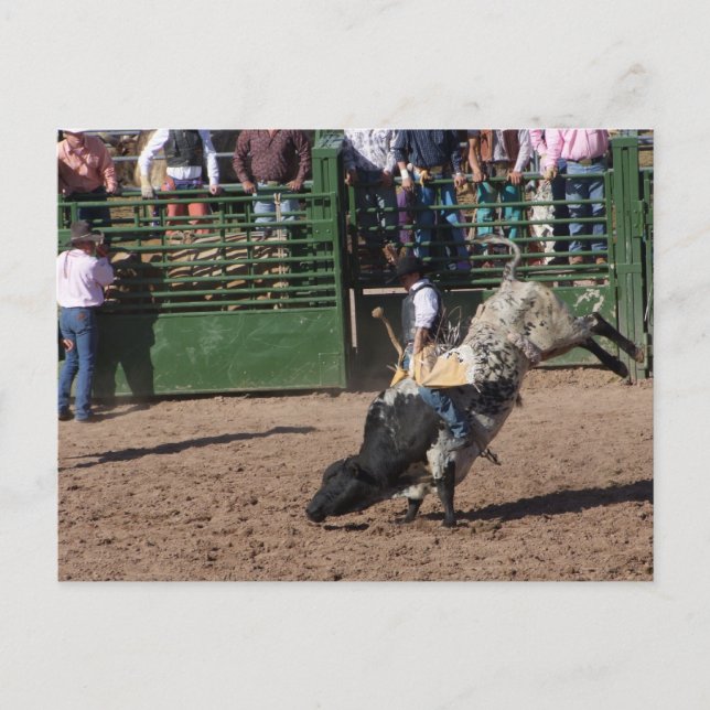 Carte Postale Dutchman Bull Riding perdu (Devant)