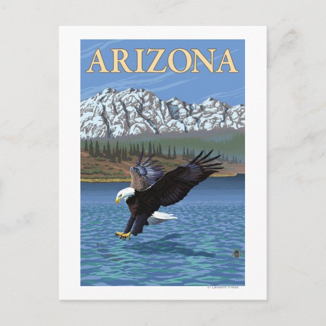 Carte Postale Eagle Diving Arizona (Devant)