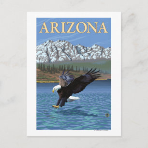 Carte Postale Eagle Diving Arizona