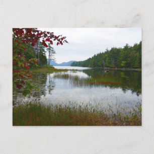 Carte Postale Eagle Lake et feuilles de érable rouges II