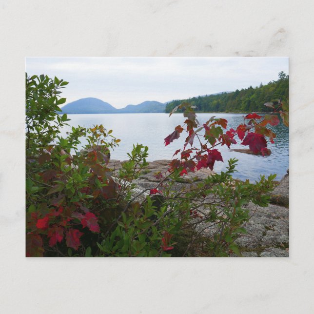 Carte Postale Eagle Lake et Red Maple Feuilles (Devant)