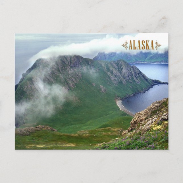 Carte Postale East Amatuli Island, Barren Islands, Alaska (Devant)