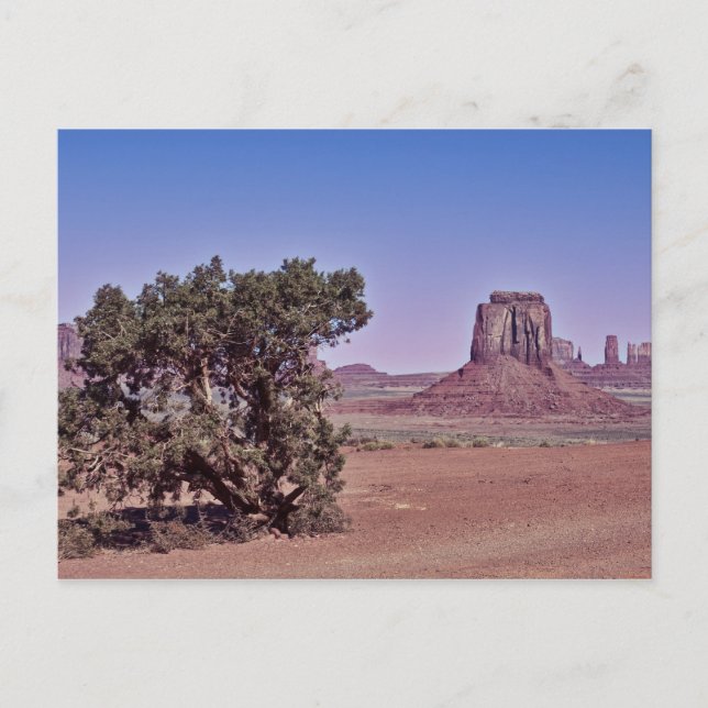 Carte Postale East Mitten Bute (Devant)