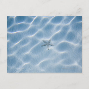 Carte Postale Eau bleue ondulée avec étoiles de mer