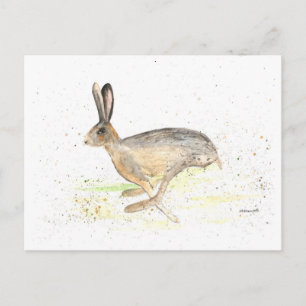 Carte Postale Eau de lièvre animal lapin faune mignonne