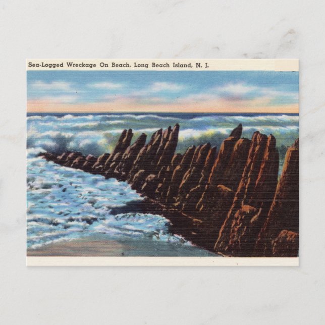 Carte Postale Eau de mer, Long Beach Island, New Jersey (Devant)