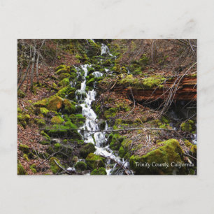 Carte Postale Eau de source fraîche....Carte postales