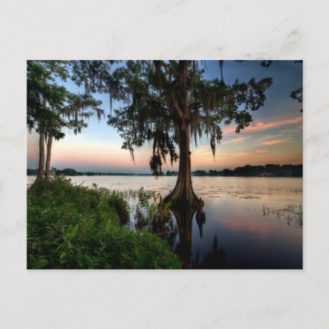 Carte Postale Eau | Kraft Azalea Park Maitland Floride (Devant)