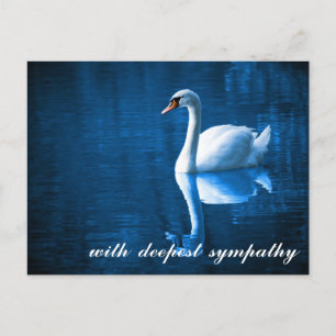 Carte Postale Eaux Calmes Bleu Sentimental Cygne Sympathie