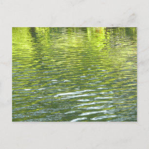Carte Postale Eaux d'Oak Creek Nature jaune et verte Photo