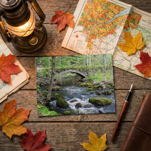 Carte Postale Eaux tranquilles : pont du chemin Gleason Falls