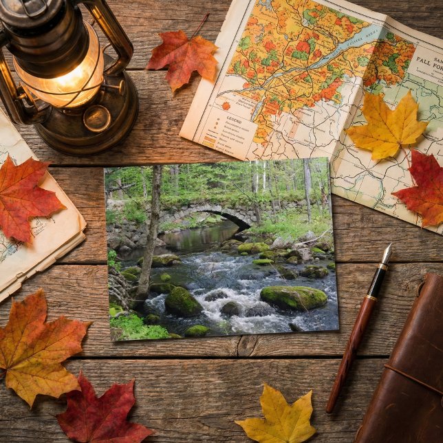Carte Postale Eaux tranquilles : pont du chemin Gleason Falls (Créateur téléchargé)
