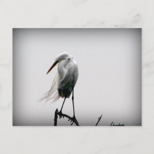 Carte Postale ébranler