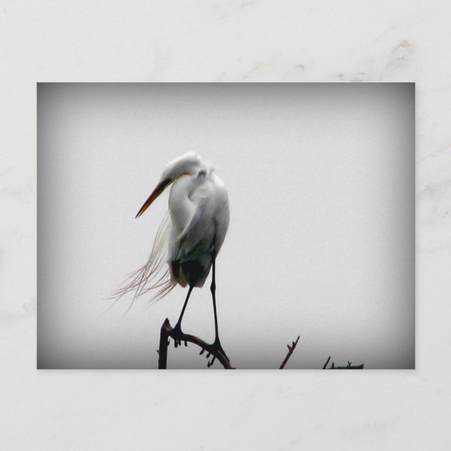 Carte Postale ébranler (Devant)