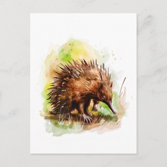 Carte Postale Echidna aquarelle dans un cadre naturel (Devant)