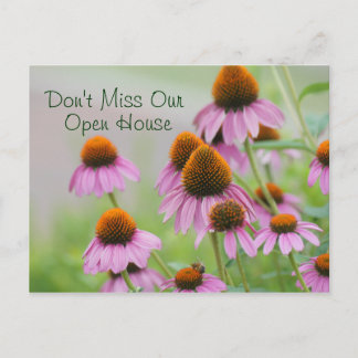 Carte postale Echinacea Flowers - pour toute occas