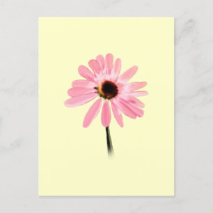 Carte Postale Echinacea purpurea