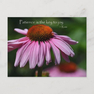 Carte Postale Échinacée avec citation de patience