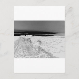 Carte Postale Éclairage de chien