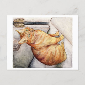 Carte Postale Éclairé