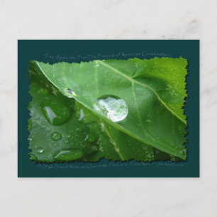 Carte Postale ECO CONSERVATION DE L'EAU CONVIVIALE Cadeaux et en