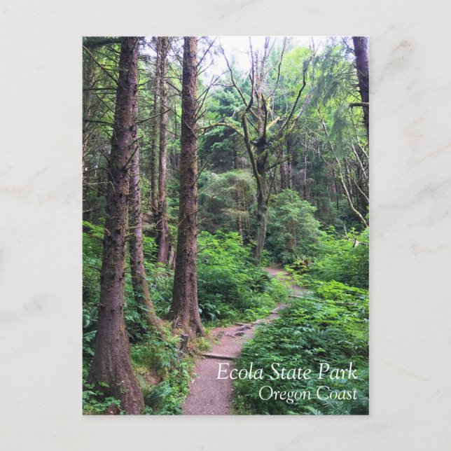 Carte Postale Ecola State Park, Cannon Beach, Oregon (Devant)