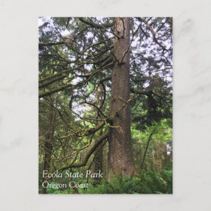 Carte Postale Ecola State Park, Cannon Beach, Oregon