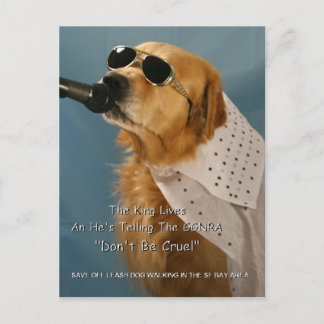 Carte Postale Économisez La Marche Du Chien En Dehors-Leash Séna