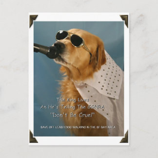 Carte Postale Économisez la marche du chien hors de la laisse me