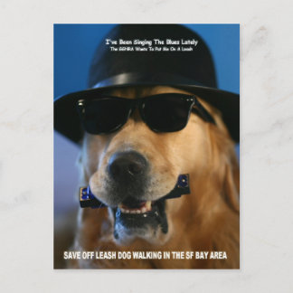 Carte Postale Économisez la marche du chien hors de la laisse me
