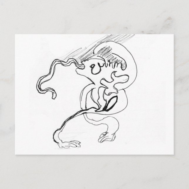 Carte Postale Écorce (Devant)