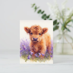 Carte Postale Écossais Highland Vache Calf Violet Fleurs sauvage