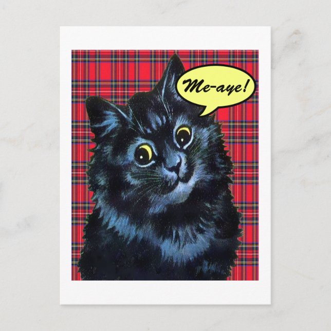 Carte postale écossaise Tartan Amoureux des chats (Devant)