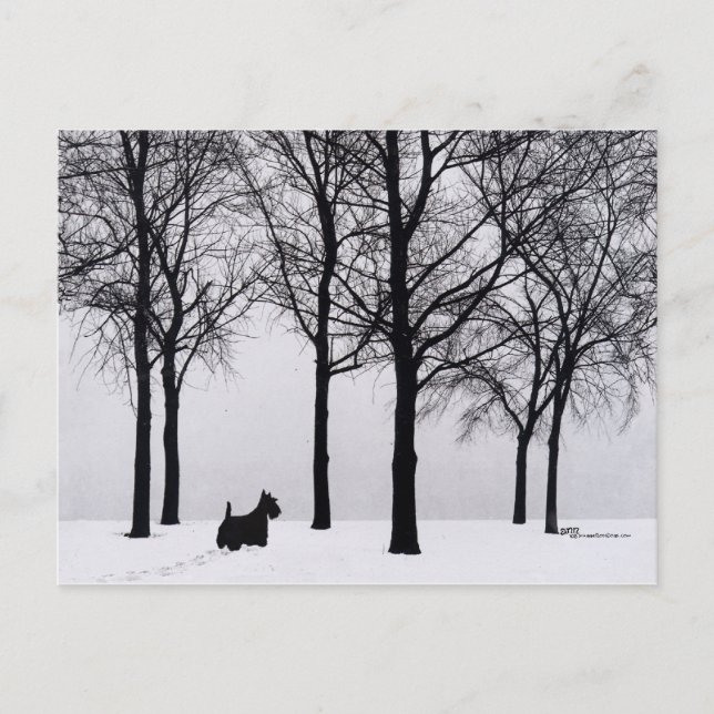 Carte Postale Ecosse dans Snowy Woods (Devant)