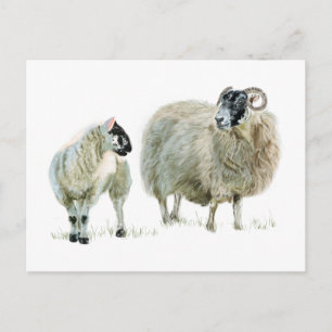 Carte Postale Écoutez toujours votre Maaaa !