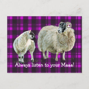 Carte Postale Écoutez toujours votre Maaaa !