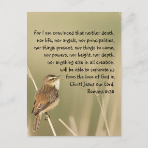 Carte Postale Écriture biblique inspirante Citation Romains 8:38