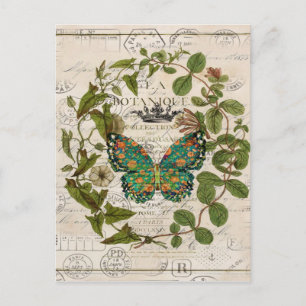 Carte Postale écriture chic papillon botanique du pays