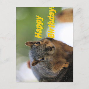 Carte Postale Écureuil d'anniversaire 