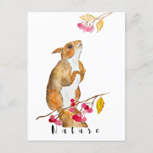 Carte Postale Écureuil d'aquarelle drôle sur une branche avec de