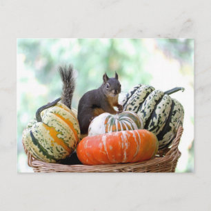 Carte Postale Écureuil d'automne