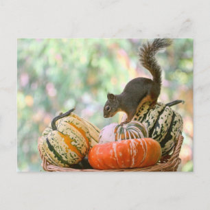 Carte Postale Écureuil de récolte d'automne