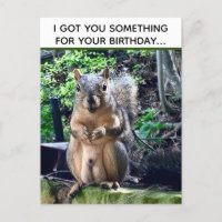 Écureuil drôle Deez Nuts Anniversaire Inapproprié