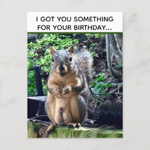 Carte Postale Écureuil drôle Deez Nuts Anniversaire Inapproprié